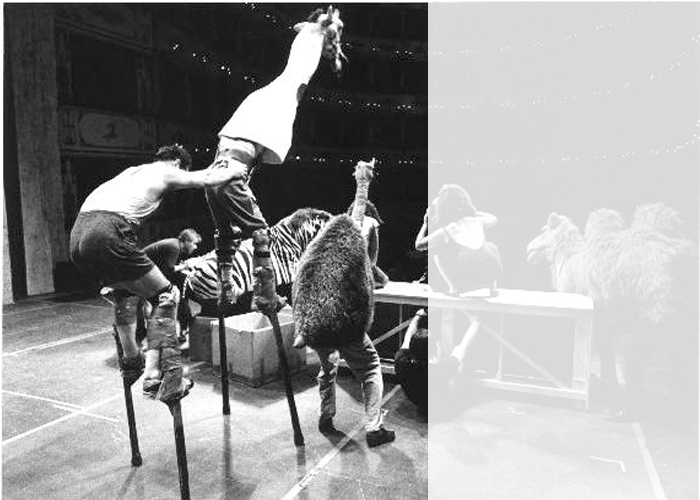 Alcuni rideranno fino alle lacrime, altri non potranno credere a quello che vedono, tutti ricorderanno lo spettacolo per anni. I Mapo insegnano acrobatica e in generale arti del circo a Terzo tempo Ululì